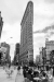 New York 2015 - Flat Iron Building