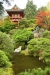 Japanischer Garten Golden Gate Park I