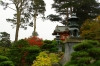 Japanischer Garten Golden Gate Park III